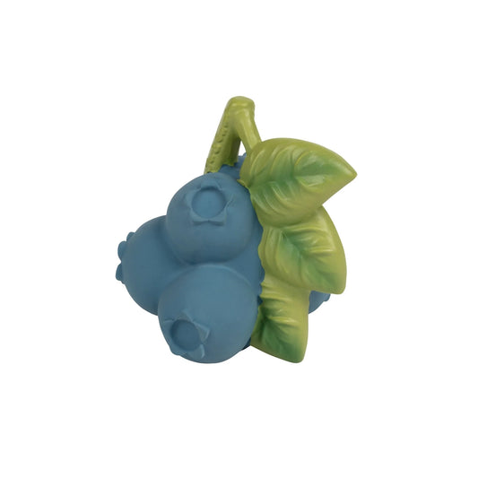 Oli&Carol Jerry the Blueberry