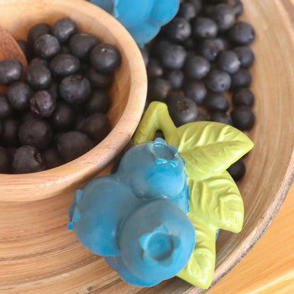 Oli&Carol Jerry the Blueberry