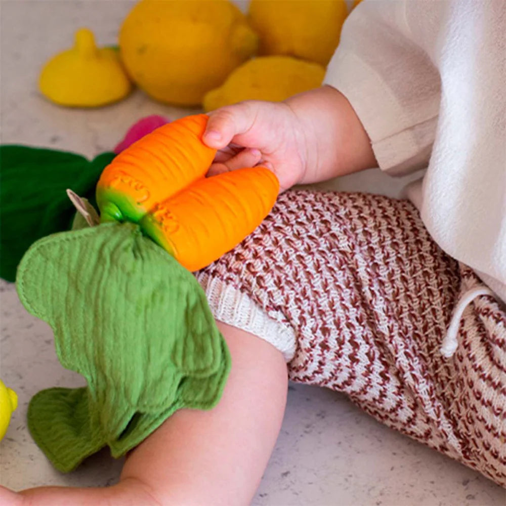 Oli&Carol Cathy the Carrot Mini Doudou-Teether
