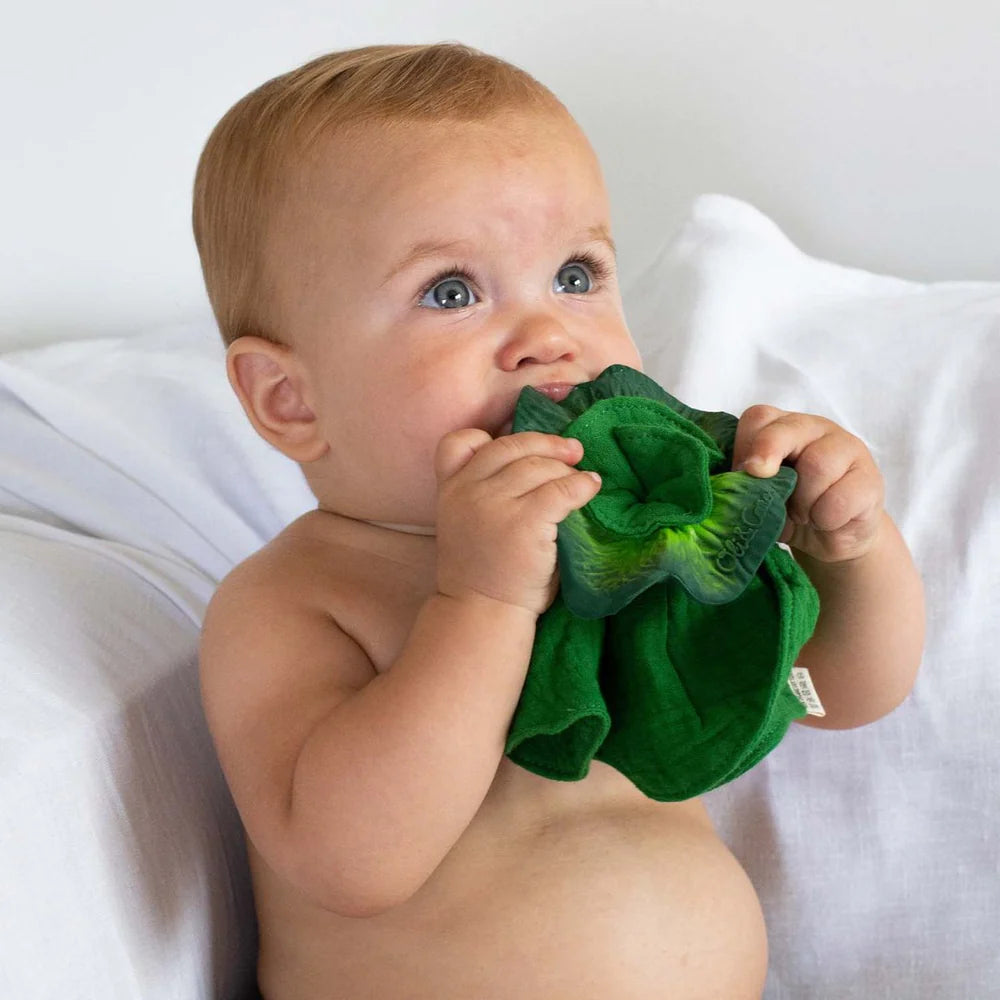 Oli&Carol Kendall the Kale Mini Doudou-Teether